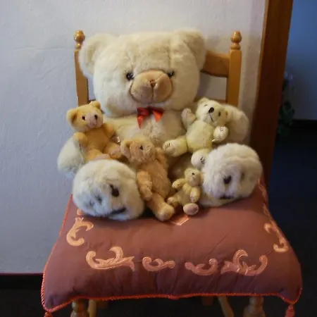 Pension Resi * Reith im Alpbachtal