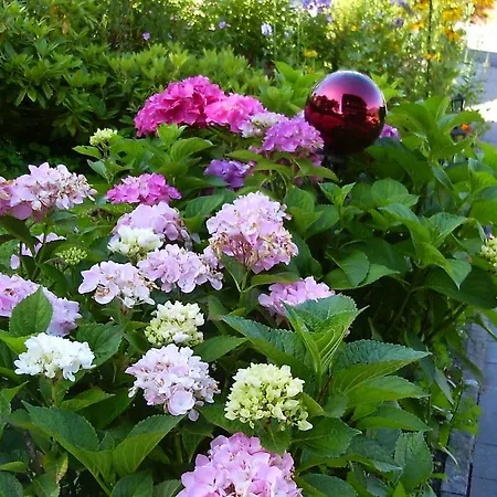 Pension Resi Reith im Alpbachtal